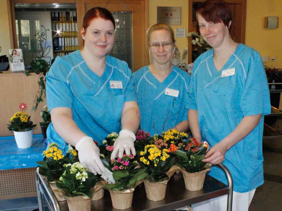 Blumen zum Frühlingserwachen Schwerin Live