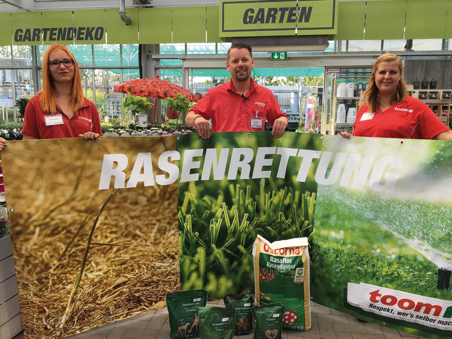 So wird der Rasen wieder schön Schwerin Live